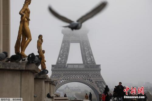 中國僑網(wǎng)主賓與浙江商會全體會員合影。(圖片來源:法國《歐洲時報》 張雨滴/攝)