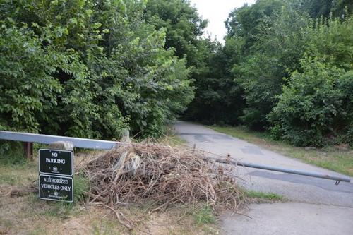 中國僑網(wǎng)托賓連續(xù)兩晚在凱辛納走廊公園性侵兩名女子。(美國《世界日報》/牟蘭 攝)