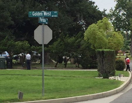 亞凱迪亞有民眾發(fā)現(xiàn)一名身穿白色襯衫的路人試圖拔孔雀羽毛。(美國(guó)《世界日?qǐng)?bào)》/讀者提供)