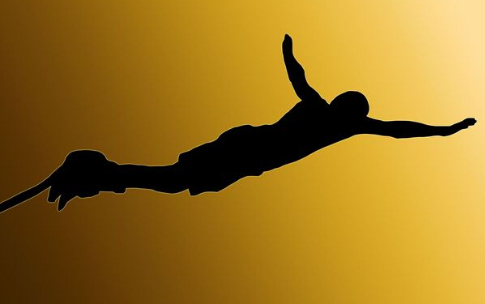 (新西蘭天維網(wǎng))