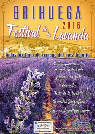 (西班牙歐浪網(wǎng))