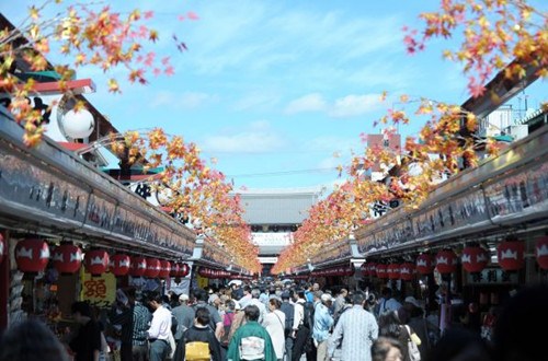 資料圖片:假日期間,大量中國游客前往東京旅游。(新華社發(fā))