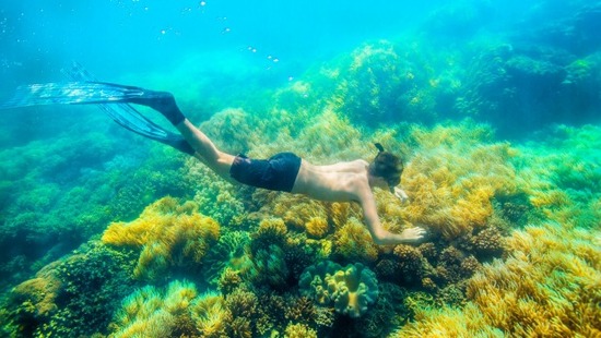 (《澳洲日?qǐng)?bào)》圖片)