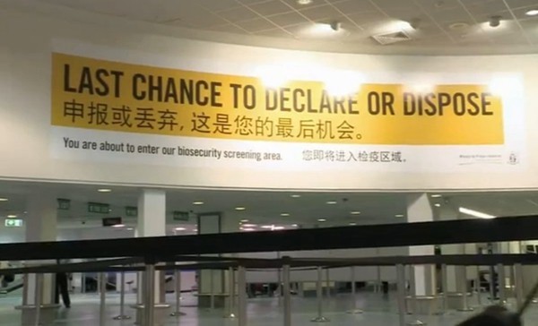 (新西蘭天維網(wǎng))