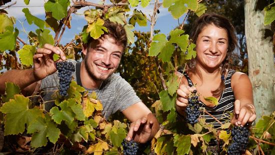 (澳洲網(wǎng)援引塔州The