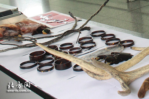 天津海關(guān)隸屬機場海關(guān)查獲旅客違規(guī)攜帶大量瀕危動物制品進境。