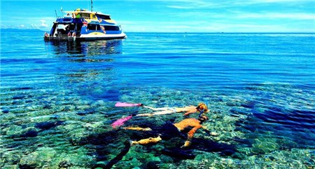 (新西蘭天維網(wǎng)援引Daily