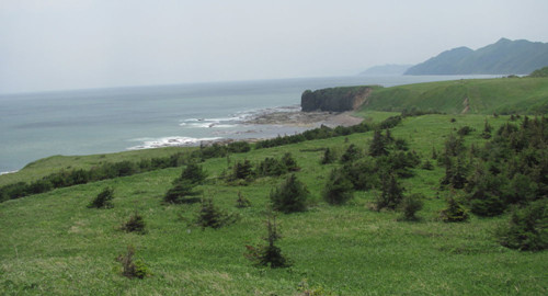 (俄羅斯衛(wèi)星網(wǎng))