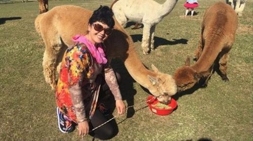 中國僑網(wǎng)(新西蘭天維網(wǎng)圖片)