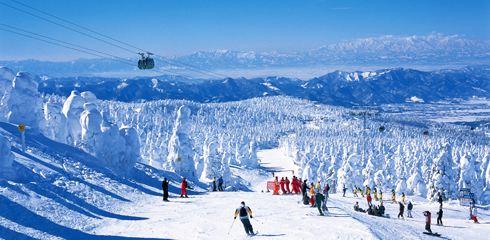 中國僑網(wǎng)資料圖。(日本新華僑報網(wǎng))