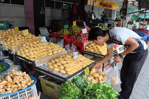 中國僑網(wǎng)(泰國《世界日?qǐng)?bào)》)