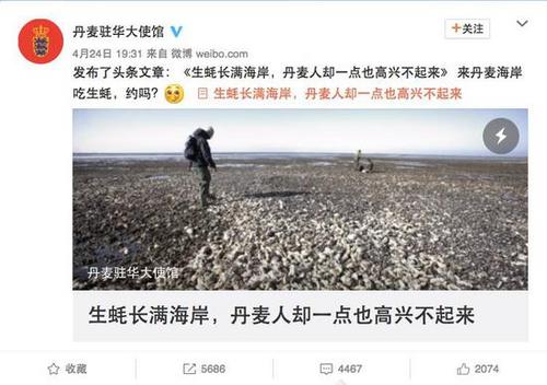 中國僑網(wǎng)丹麥駐華大使館微博截圖。