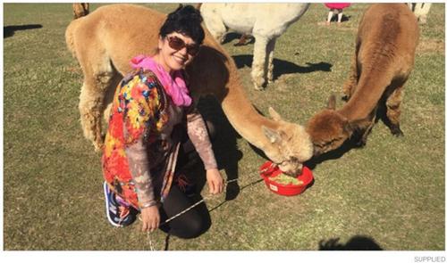 中國僑網(wǎng)(新西蘭天維網(wǎng)援引stuff圖片)