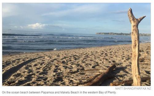 中國僑網(wǎng)(新西蘭天維網(wǎng))