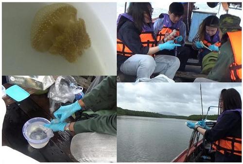 中國僑網(wǎng)(泰國《世界日報》)