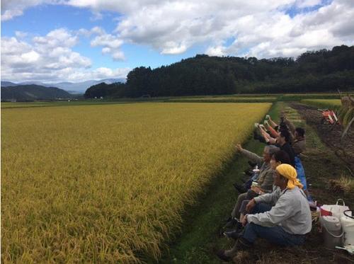 中國(guó)僑網(wǎng)(日本新華僑報(bào)網(wǎng))