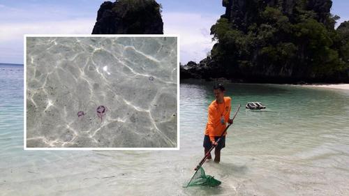 中國僑網(wǎng)(泰國《世界日報》)