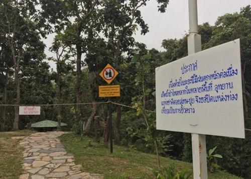 中國僑網(wǎng)(泰國《世界日報》)