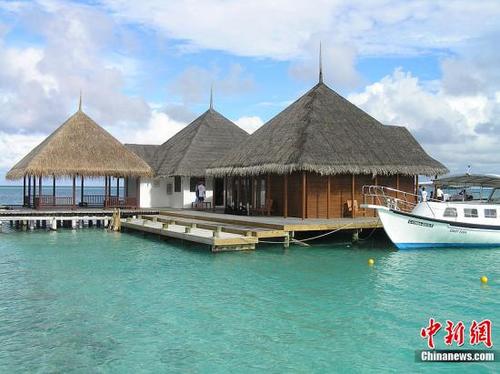 中國僑網馬爾代夫。(中新社記者 初征 攝)