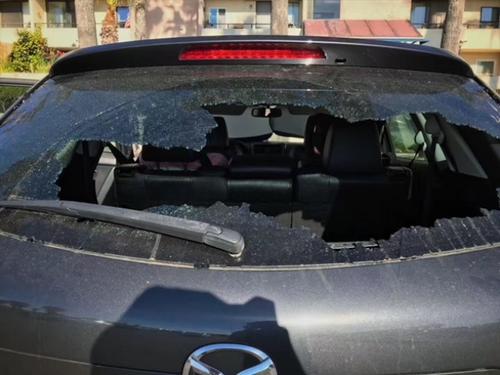 中國僑網(wǎng)被砸車輛(美國《世界日報》)