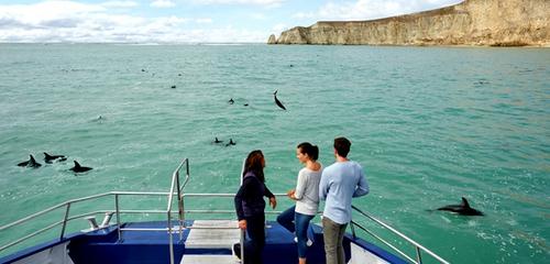 中國僑網(wǎng)(新西蘭天維網(wǎng))