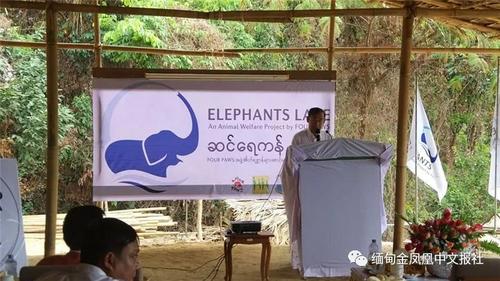 中國僑網(wǎng)(圖片來源:《緬甸金鳳凰中文報(bào)》)