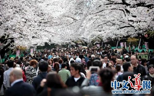 中國僑網(wǎng)(日本《中文導(dǎo)報(bào)》)