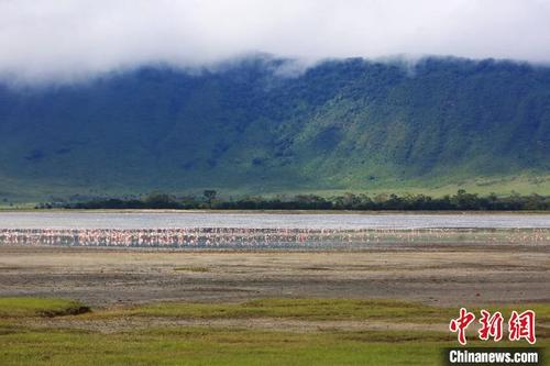 中國僑網(wǎng)圖為坦桑尼亞美景 主辦方供圖