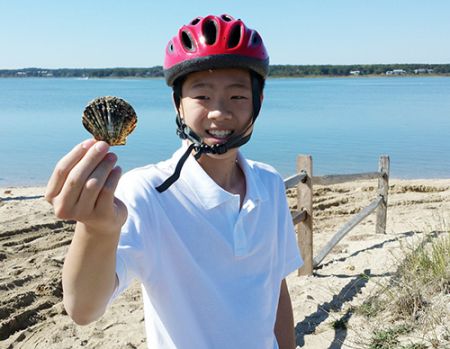 中國僑網(wǎng)(美國《僑報》)