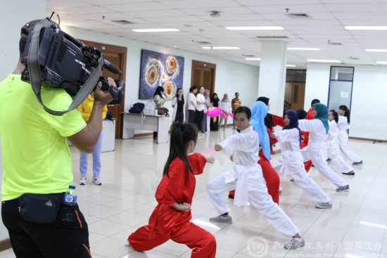 現(xiàn)場(chǎng)武術(shù)教學(xué)