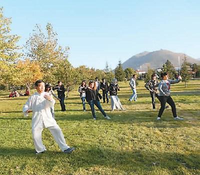 中國僑網(wǎng)劉召明在教學生打太極拳