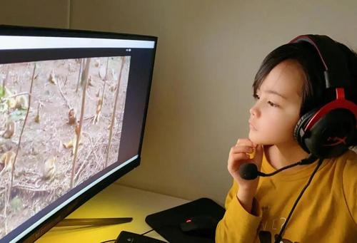 中國(guó)僑網(wǎng)(圖片來源:中國(guó)華文教育基金會(huì))