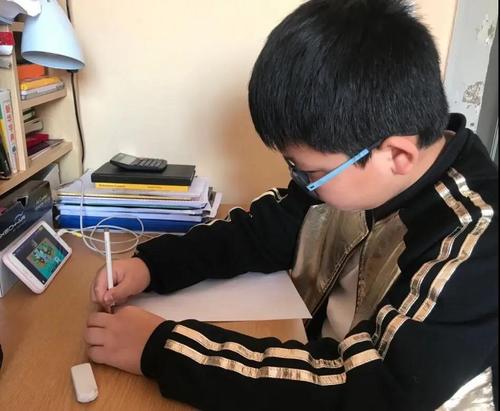 中國僑網(wǎng)(圖片來源:中國華文教育基金會)