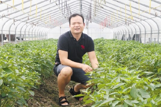 中國(guó)僑網(wǎng)