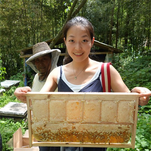 中國(guó)僑網(wǎng)