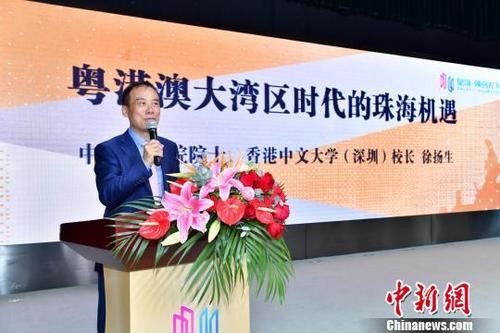 中國僑網(wǎng)中國工程院院士、香港中文大學(xué)(深圳)校長徐揚(yáng)生在作主題演講 主辦方供圖