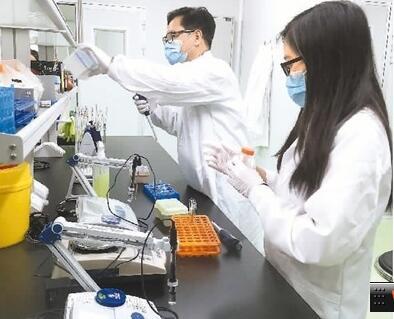 中國僑網(wǎng)鄧杏飛(左)帶領(lǐng)團(tuán)隊成員正在做產(chǎn)品研發(fā)(《人民日報海外版》/孫亞慧 攝)