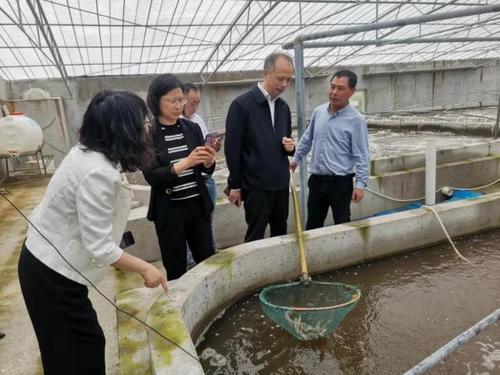 中國(guó)僑網(wǎng)(浙江省僑聯(lián)網(wǎng)站)