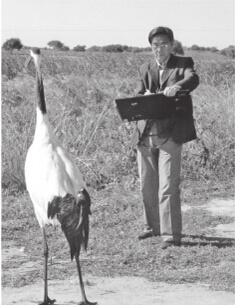 中國僑網(wǎng)鄧文新(埃及)