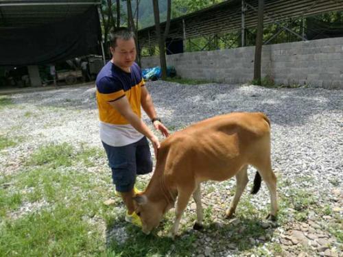 中國(guó)僑網(wǎng)潘小波 受訪者供圖