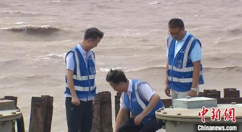 中國(guó)僑網(wǎng)工作人員在巡查海堤 張踐 攝