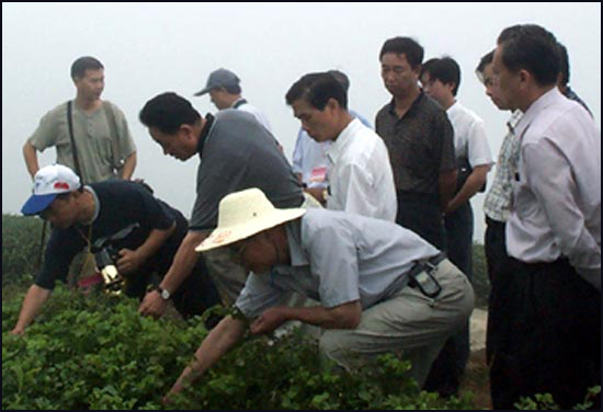 �c������D