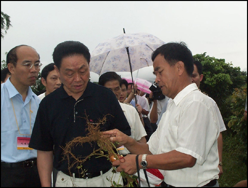 �c������D