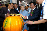 �׌��Ї�(gu��)�|�˲��[��(hu��)���ό��_Ļ