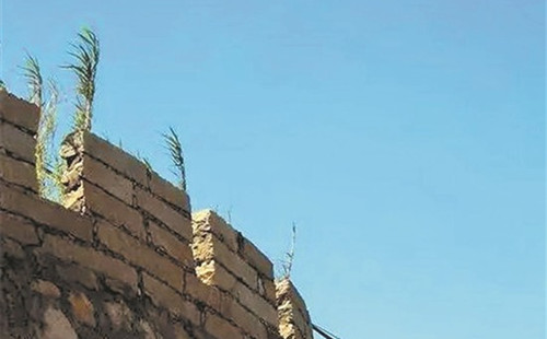 小岞東山衛(wèi)城