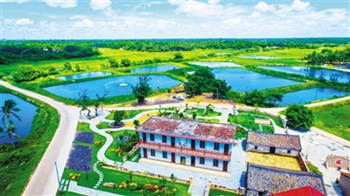 文昌潭牛鎮(zhèn)天賜村田園風(fēng)光。