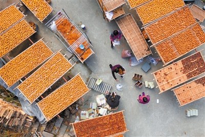 中國僑網(wǎng)柿子深加工后成了游客眼中的香餑餑。 趙用 攝