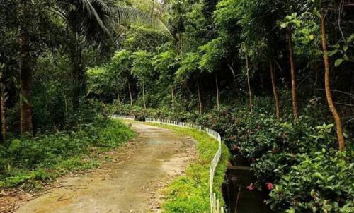 中國(guó)僑網(wǎng)美麗的賽道之一