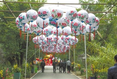 中國僑網(wǎng)首屆溫州迎春自貢燈會(huì)吸引眾多市民前往體驗(yàn)。 趙用 攝