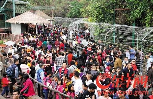 中國僑網(wǎng)旅游景區(qū)人頭攢動